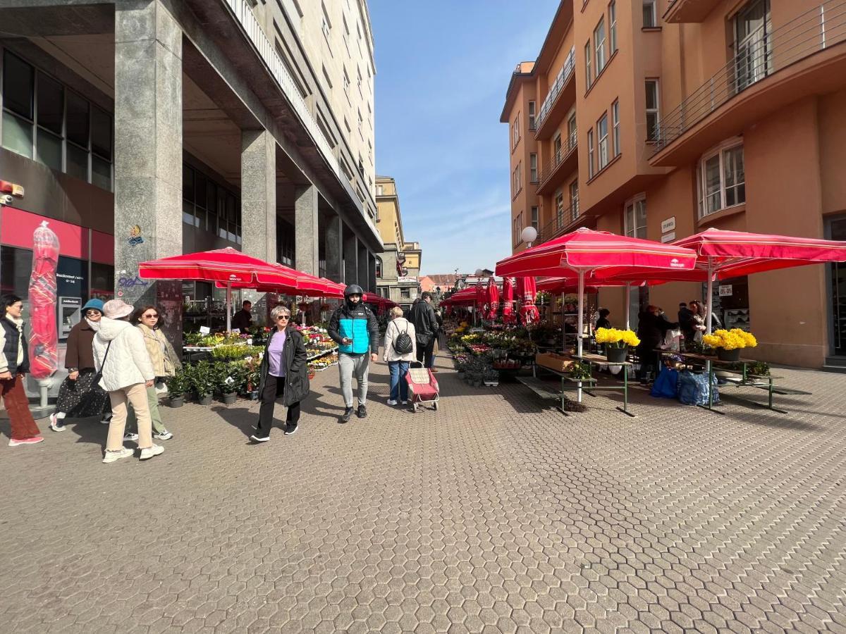 Studio Apartman Luka Загреб Екстериор снимка